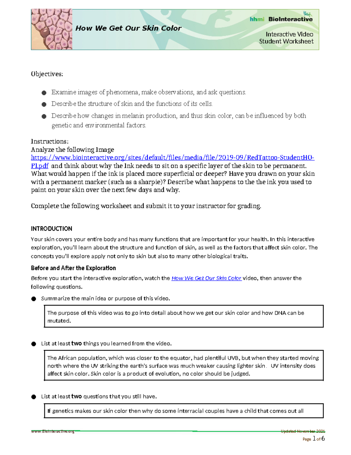 Student Worksheet How We Get Our Skin Color Interactive Video Student Worksheet How We Get Our Studocu
