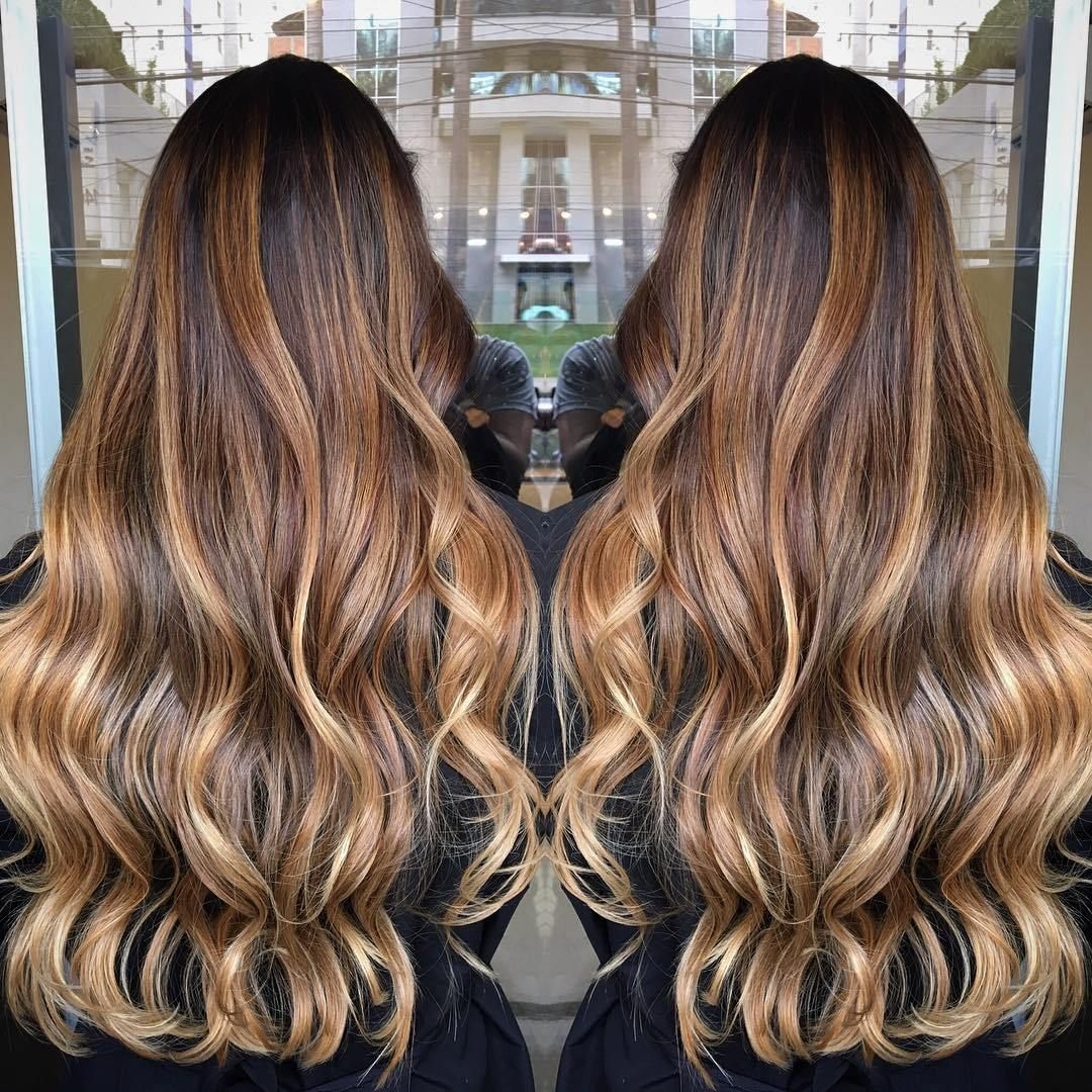 Tiger Eye Balayage Deals