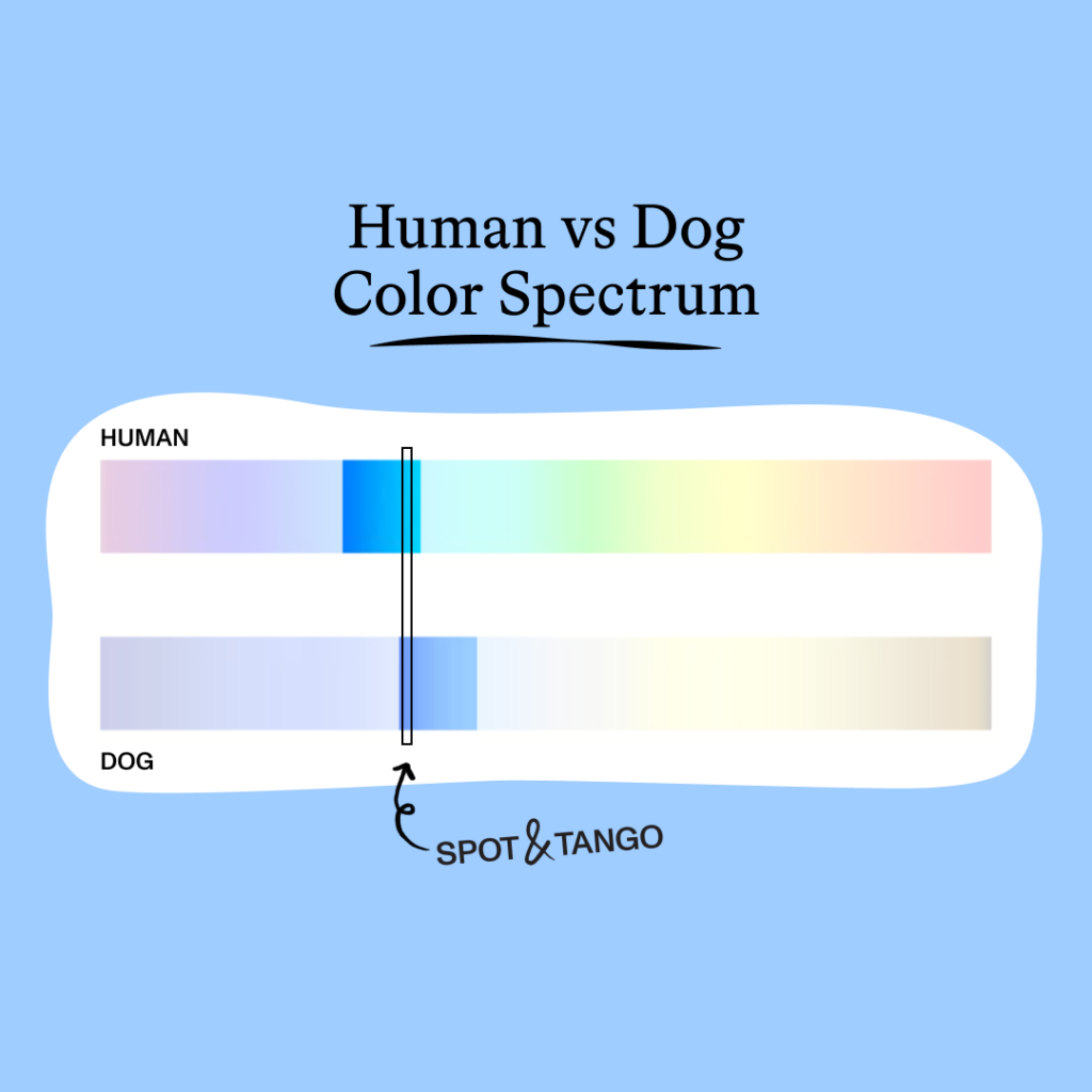 dog color perception