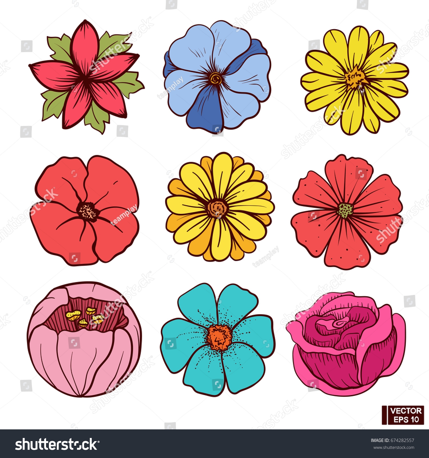 pictures of flowers in color
