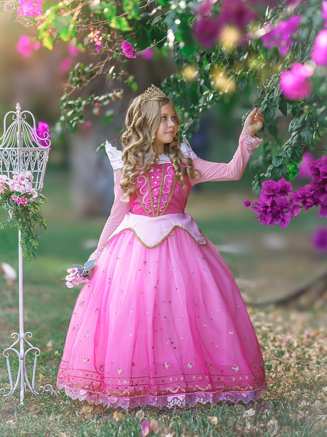 sleeping beauty dress color