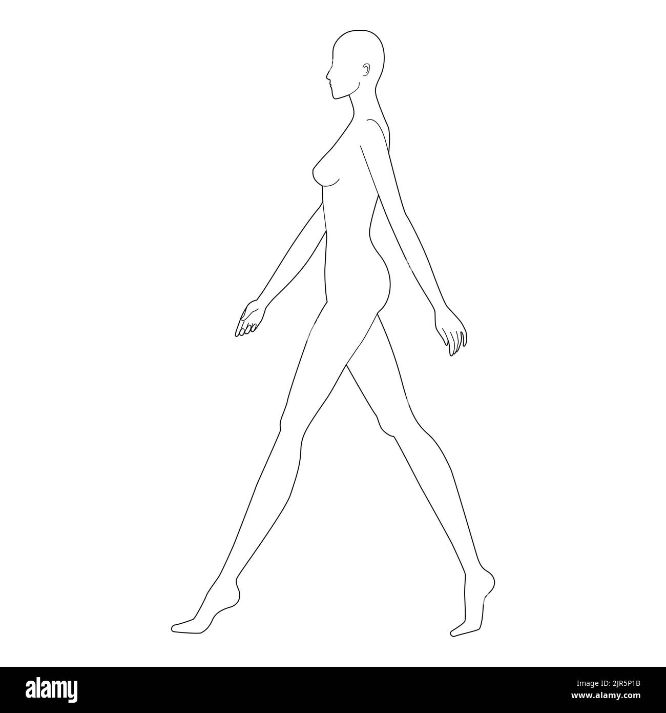 Walking Women Fashion Template 9 Nine Head Size Female For 
