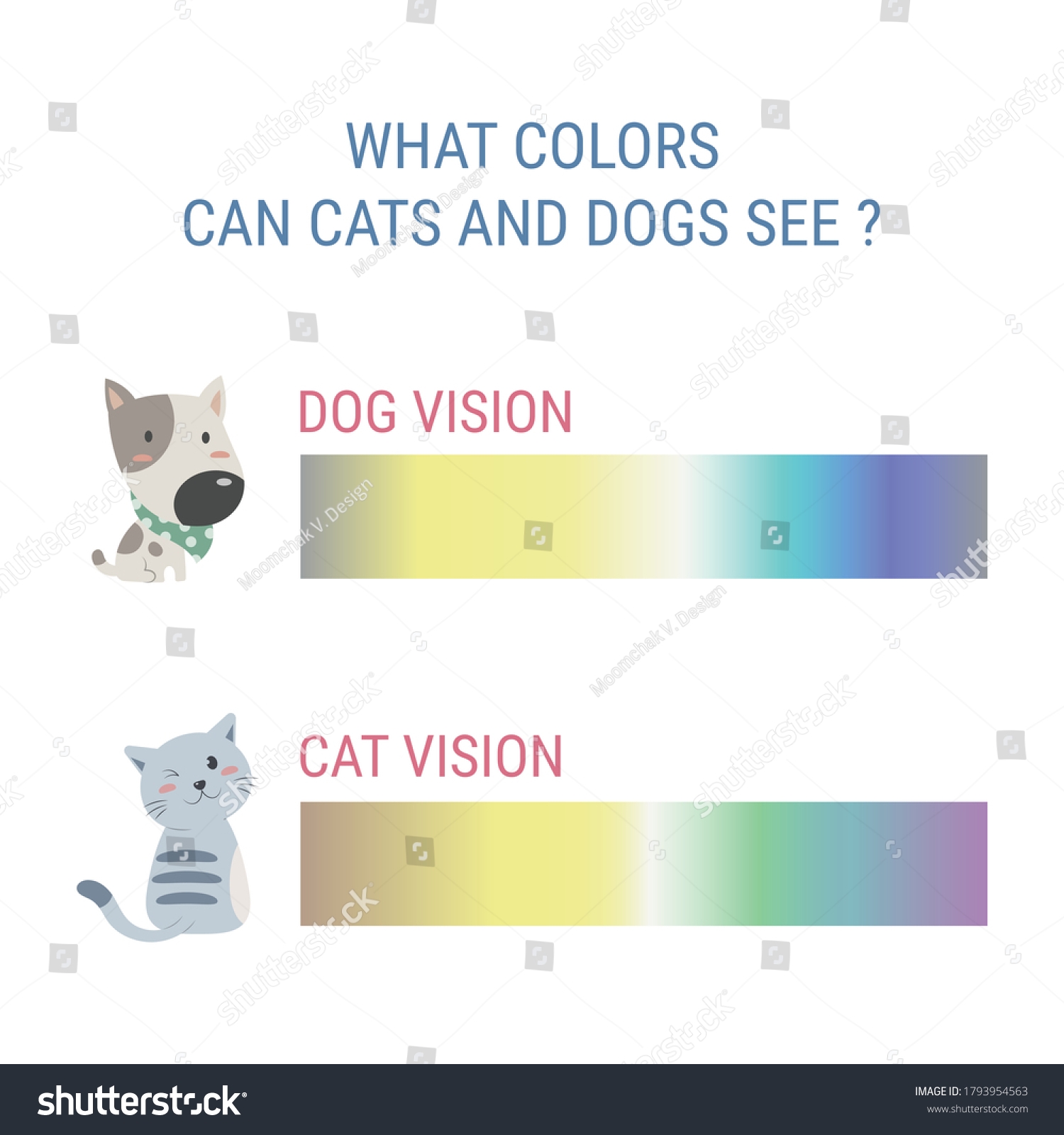 What Colors Can Dogs Unbeatable See Are