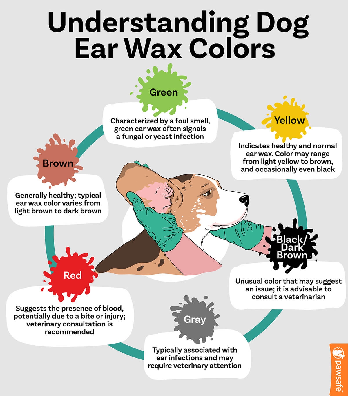dog ear wax color chart