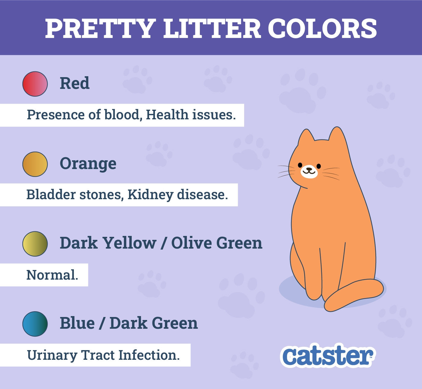 cat pee color