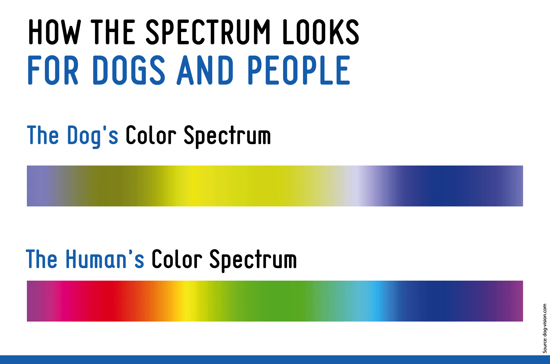 What re The Most Optimal Colors For Dog Toys Canine Color 