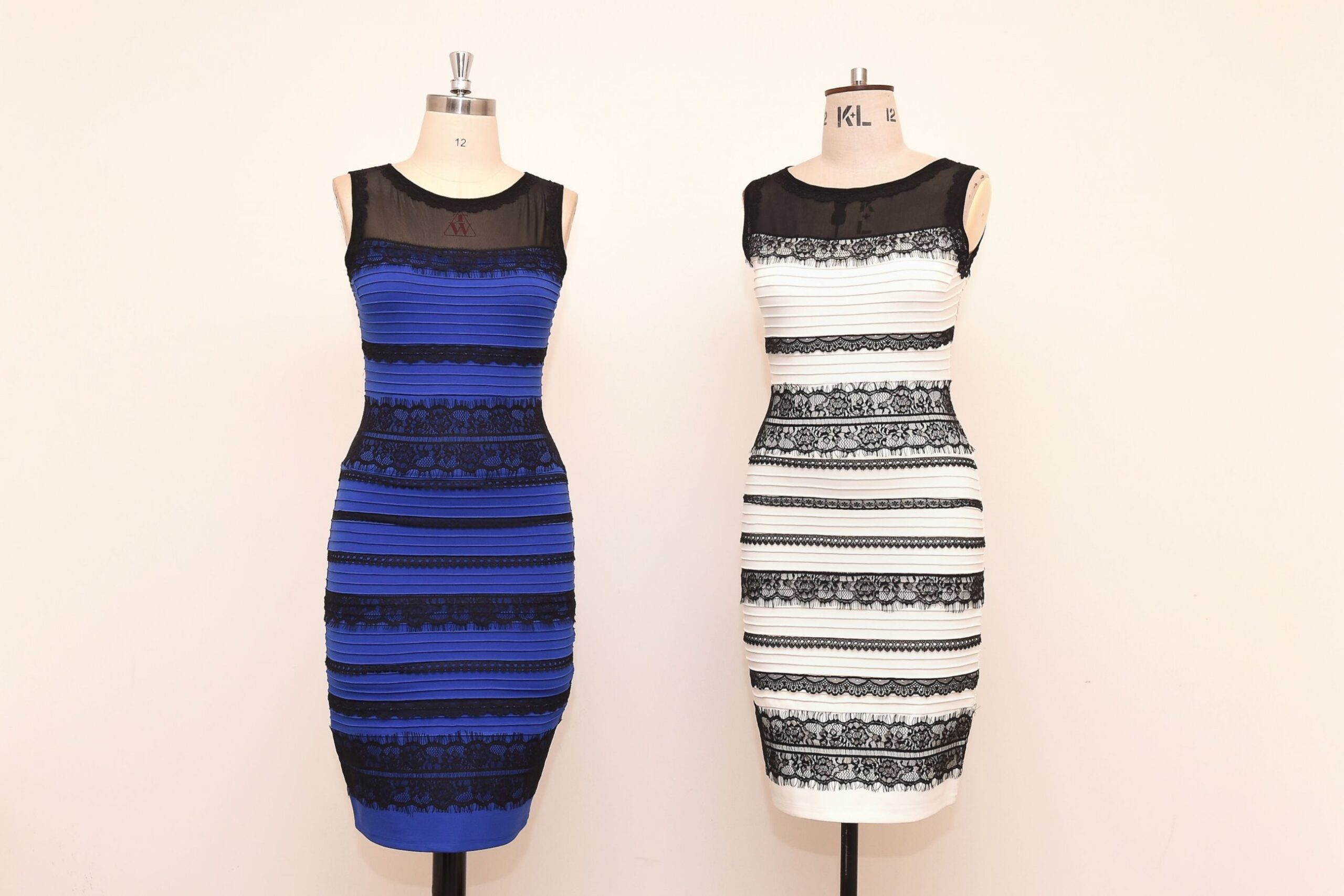 White And Gold Or Black And Blue Why People See The Dress Differently ABC News