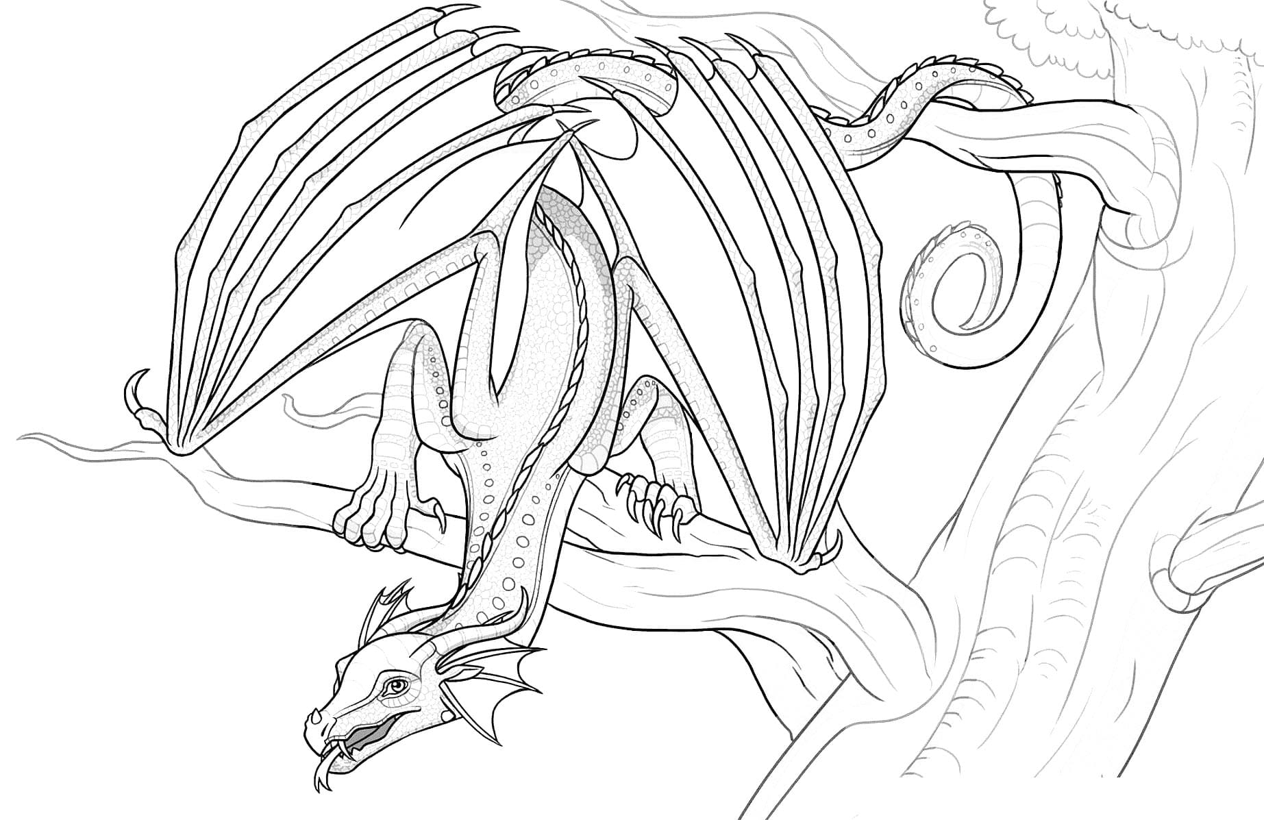 Wings Of Fire RainWings Coloring Page Download Print Or Color Online For Free